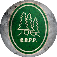 Logo Club Deportivo Parque del Plata